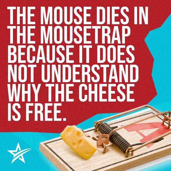 𝔖𝔦𝔫𝔤𝔥🦁 on X: "The cheese in the mouse trap is not free. Enticing a mouse (Voters) with cheese (Freebies) has worked for decades and mice(Voters) are only victims of Freebies culture(Cheese). Beware